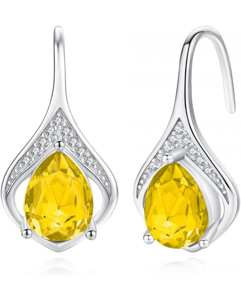 Birthstone Earrings Teardrop Leverback Hook Dangle Earrings Earring for Women Fashion 925 Sterling Silver Hypoallergenic Jewe...